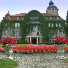 Pałac w Łężanach zwiedzanie: praktyczne informacje, ceny i atrakcje