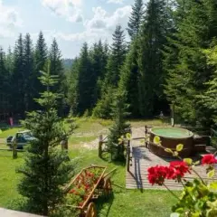 Leśna bacówka - idealne miejsce na wypoczynek w górach blisko Nowego Targu