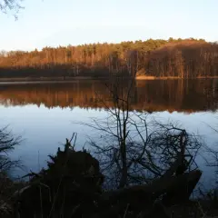 Jezioro Sierakowskie – atrakcje, noclegi i tajemnice przyrody w jednym miejscu