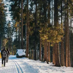 Którym szlakiem zejść ze szrenicy? Najłatwiejsze trasy i atrakcje
