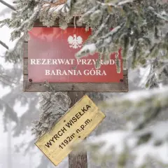 Jaki szlak na Baranią Górę? Odkryj trudności i długości tras
