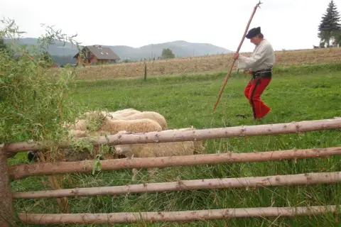 Bacówka u Harnasia: Niezapomniane doświadczenia i tradycyjna kuchnia