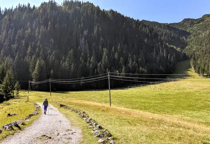 Najlepsze szlaki z dzieckiem w Zakopanem - bezpieczne trasy dla rodzin