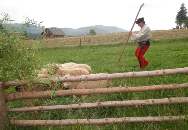 Bacówka u Harnasia: Niezapomniane doświadczenia i tradycyjna kuchnia