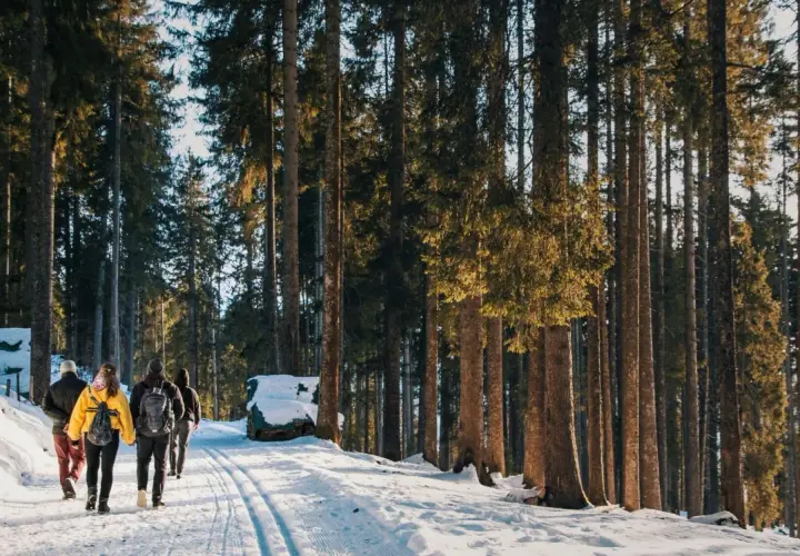 Którym szlakiem zejść ze szrenicy? Najłatwiejsze trasy i atrakcje