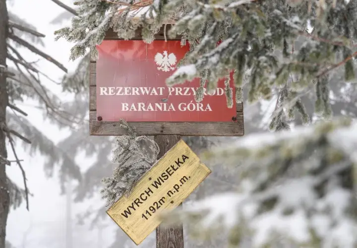 Jaki szlak na Baranią Górę? Odkryj trudności i długości tras