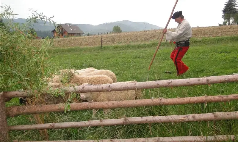 Bacówka u Harnasia: Niezapomniane doświadczenia i tradycyjna kuchnia