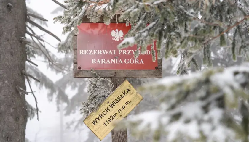 Jaki szlak na Baranią Górę? Odkryj trudności i długości tras
