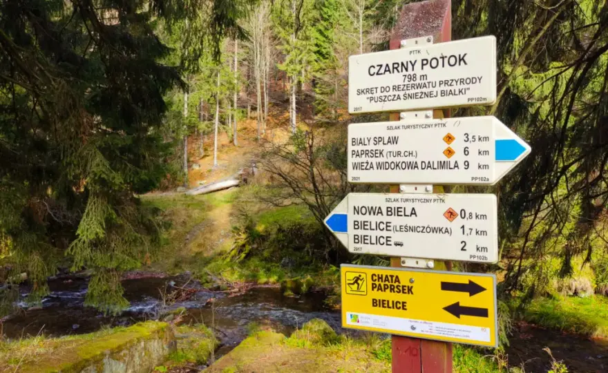 Szlak co to jest - zrozumienie definicji i rodzajów szlaków