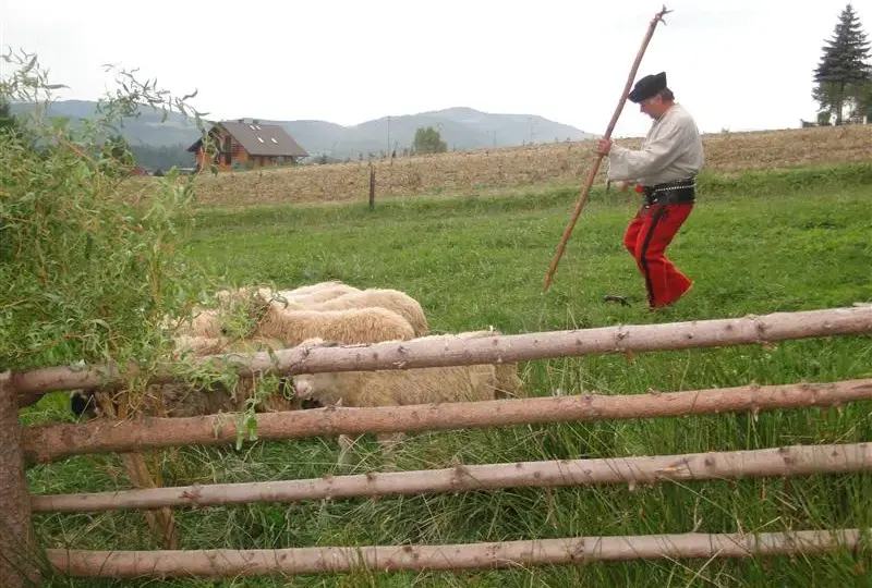 Bacówka u Harnasia: Niezapomniane doświadczenia i tradycyjna kuchnia