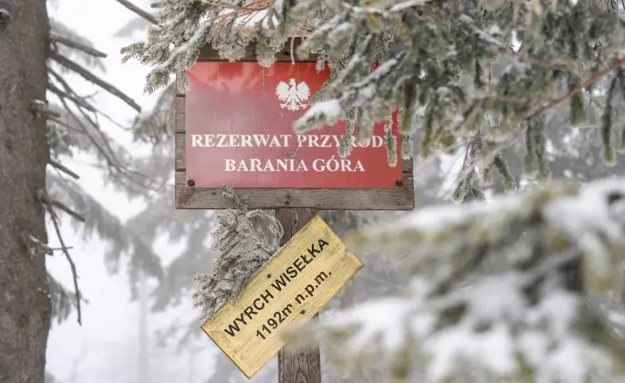 Jaki szlak na Baranią Górę? Odkryj trudności i długości tras