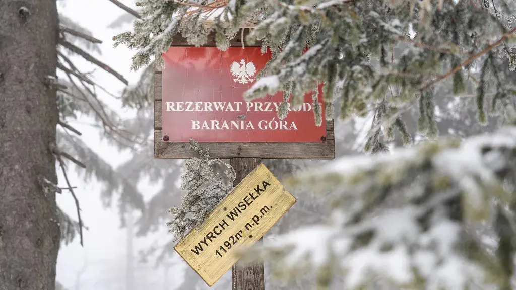 Jaki szlak na Baranią Górę? Odkryj trudności i długości tras