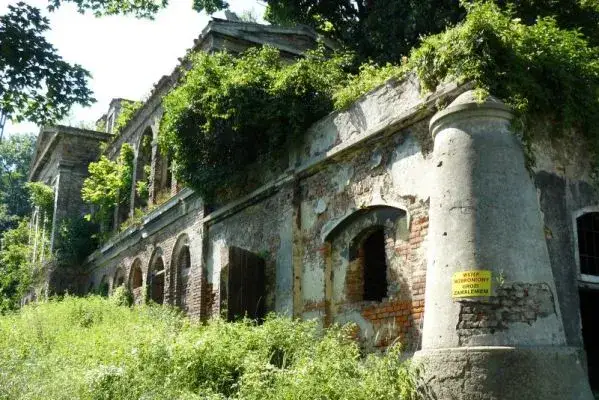 Zdjęcie Ruiny pałacu w Sławikowie – tajemnice i historia zapomnianego miejsca
