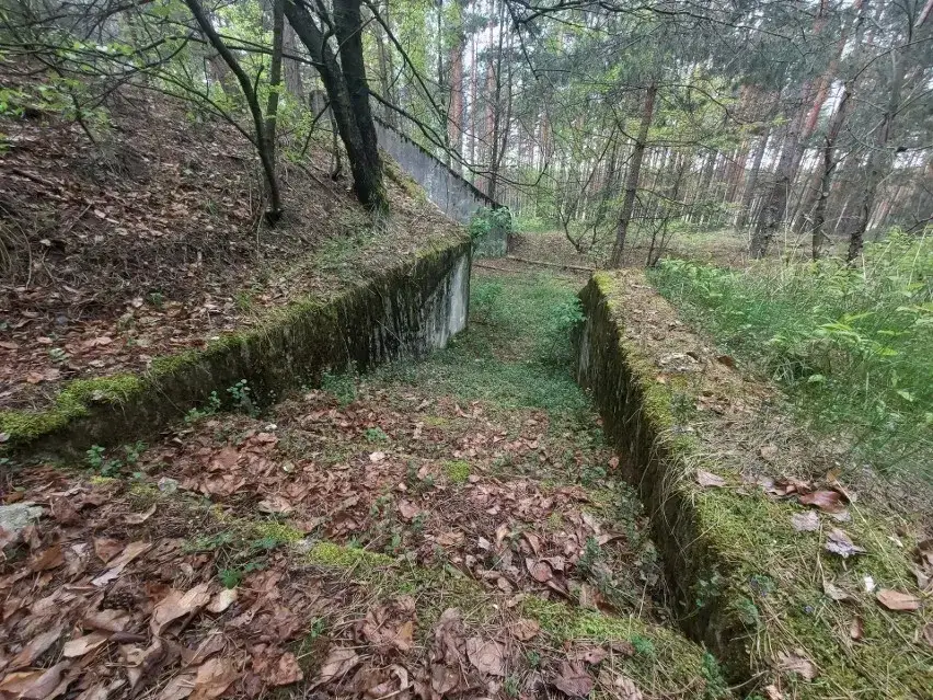 Zdjęcie Bunkry na Śląsku: tajemnice, historia i trasy turystyczne, które musisz poznać
