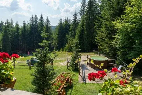 Leśna bacówka - idealne miejsce na wypoczynek w górach blisko Nowego Targu